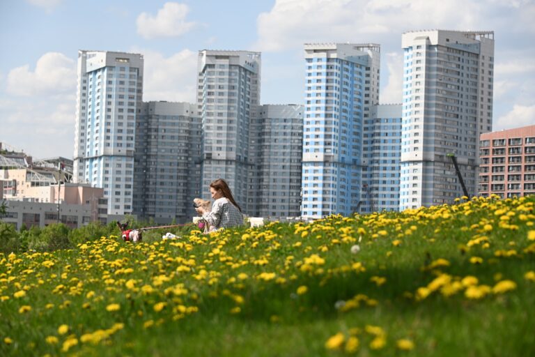 Женщина с собакой сидит на травянистом холме с одуванчиками, на заднем плане многоэтажные жилые дома